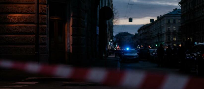 В Петербурге в сумке нашли человеческие останки В Кировском районе Петербурга найдены человечес...